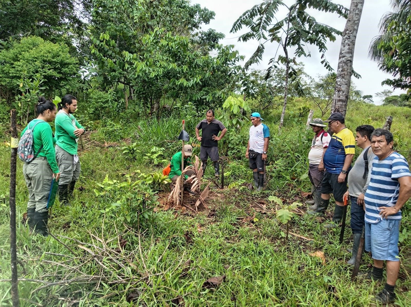 𝑨𝒍𝒊𝒂𝒏𝒛𝒂 𝒅𝒆 𝒊𝒎𝒑𝒂𝒄𝒕𝒐: 𝑪𝒂𝒎𝒊𝒏𝒐 𝑽𝒆𝒓𝒅𝒆 𝒆 𝑰𝑬𝑺𝑻𝑷 𝑳𝒆𝒐𝒏𝒊𝒅𝒂𝒔 𝑳𝒐́𝒑𝒆𝒛 𝑪𝒉𝒊𝒄𝒂𝒆 𝒆𝒏 𝒂𝒄𝒄𝒊𝒐́𝒏 "𝑭𝒐𝒓𝒕𝒂𝒍𝒆𝒄𝒊𝒎𝒊𝒆𝒏𝒕𝒐 𝒅𝒆 𝒍𝒂 𝑨𝒍𝒊𝒂𝒏𝒛𝒂 𝑬𝒔𝒕𝒓𝒂𝒕𝒆́𝒈𝒊𝒄𝒂 𝒑𝒂𝒓𝒂 𝒆𝒍 𝑫𝒆𝒔𝒂𝒓𝒓𝒐𝒍𝒍𝒐 𝑨𝒈𝒓𝒐𝒇𝒐𝒓𝒆𝒔𝒕𝒂𝒍" 🌿🏛️