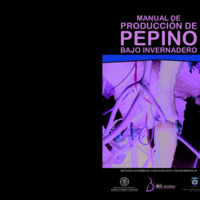 117 Manual de producción de pepino bajo invernadero.pdf